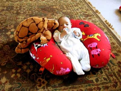 Toby and his turtle Toby and his turtle